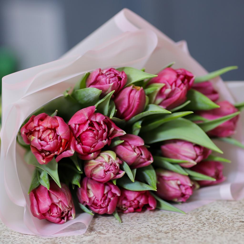 Малиновые тюльпаны