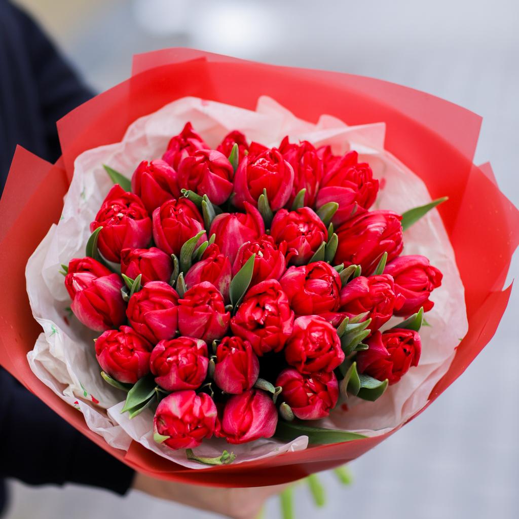 Моно из тюльпанов