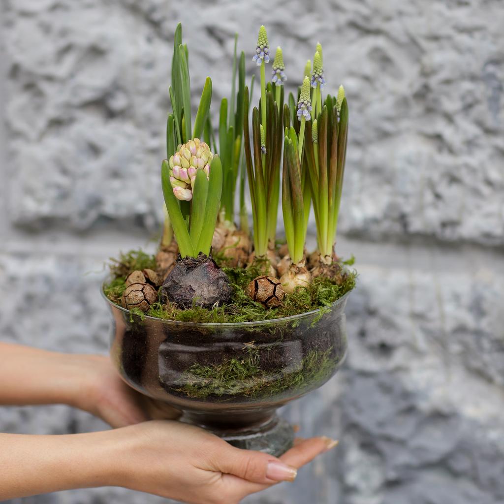 Цветочный сад №72