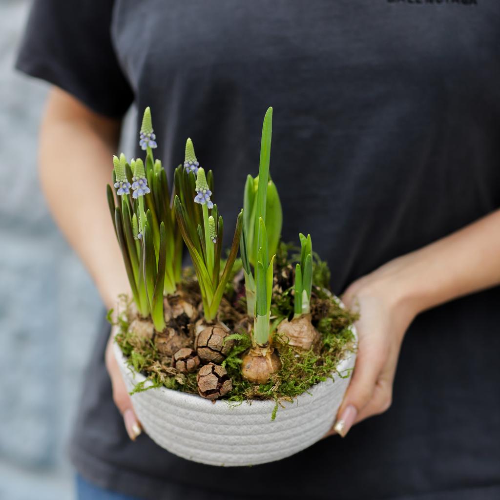 Цветочный сад №73