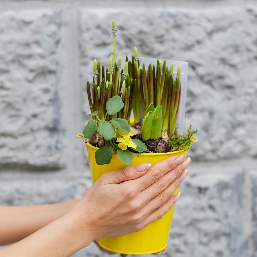 Цветочный сад №75