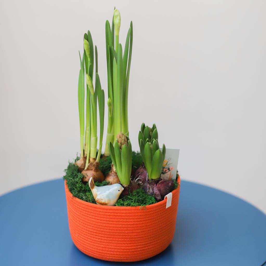 Цветочный сад №79