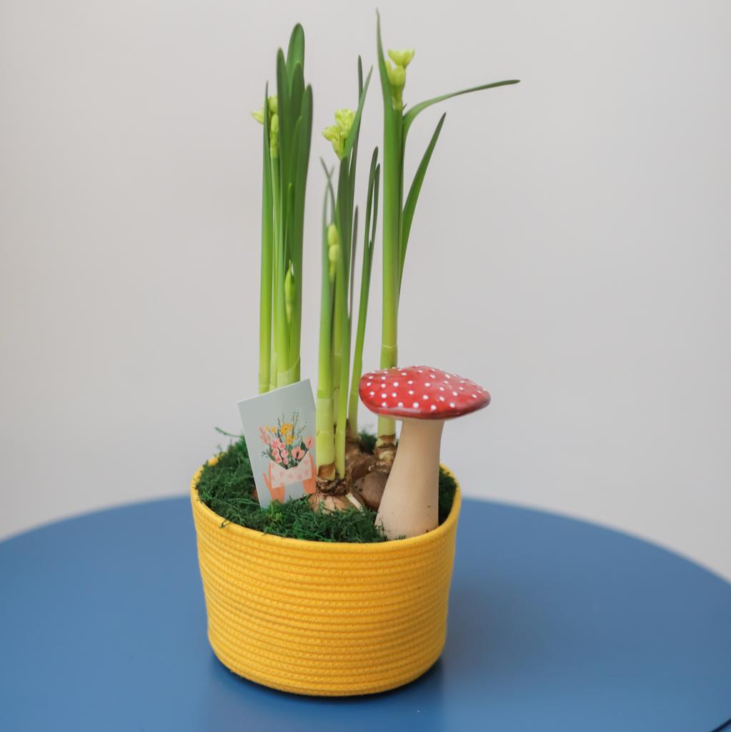 Цветочный сад №80