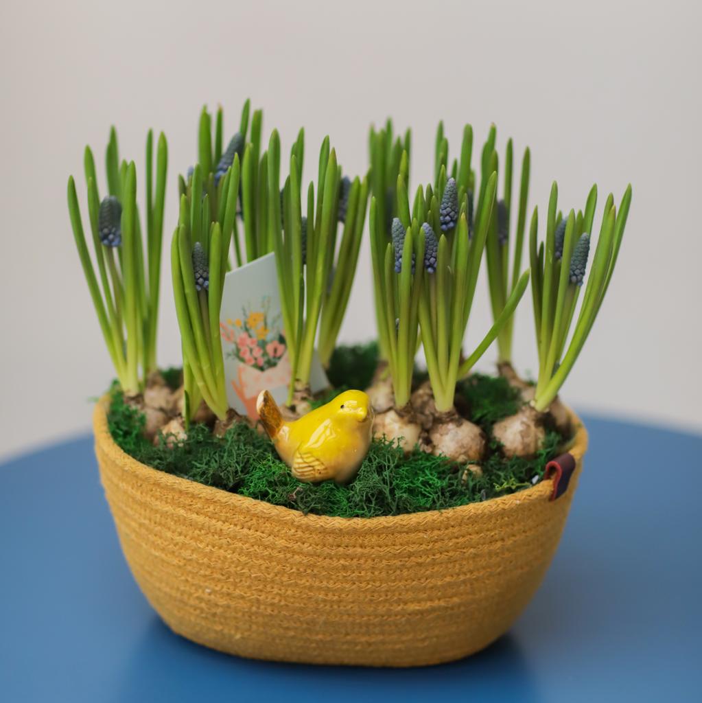 Цветочный сад №81