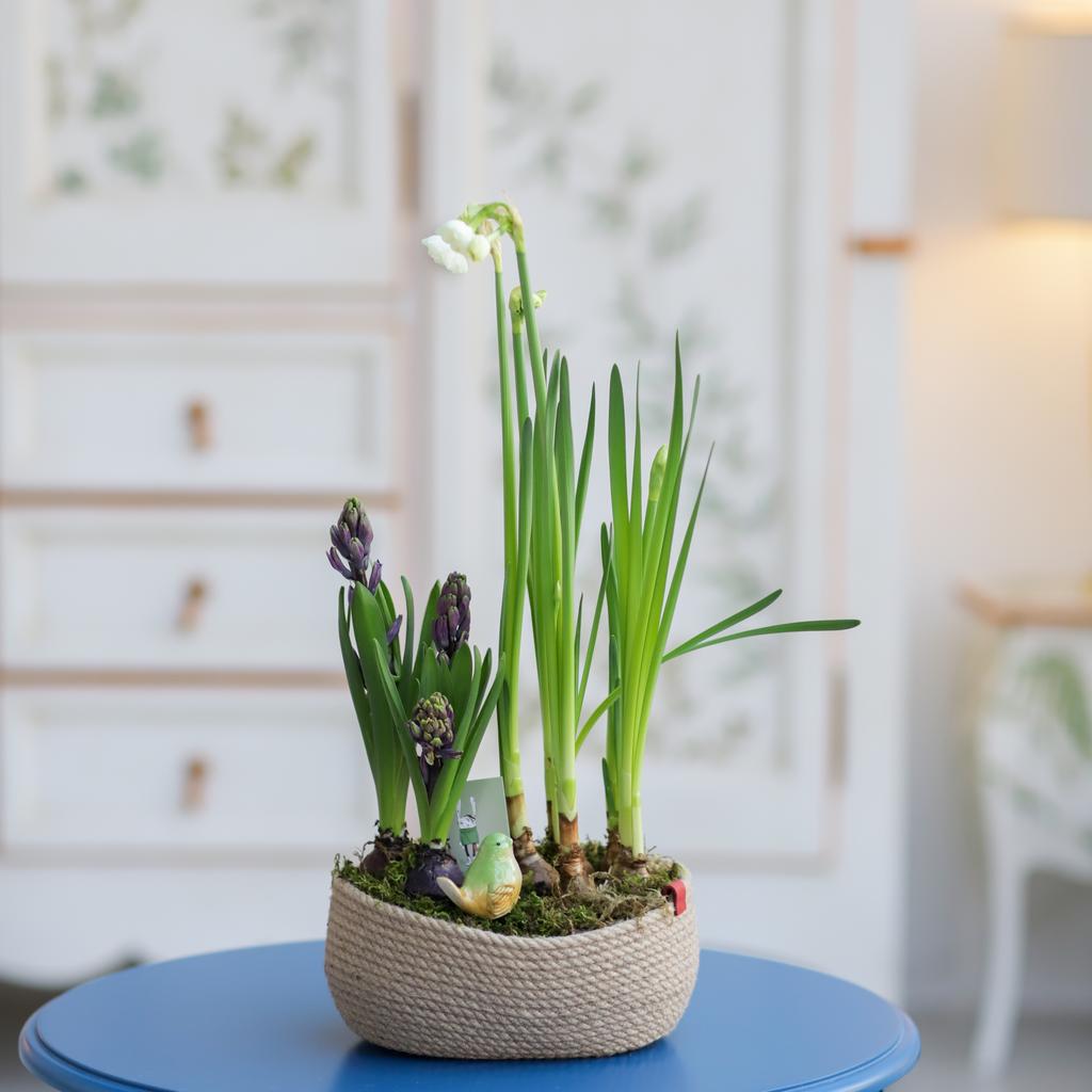 Цветочный сад №85