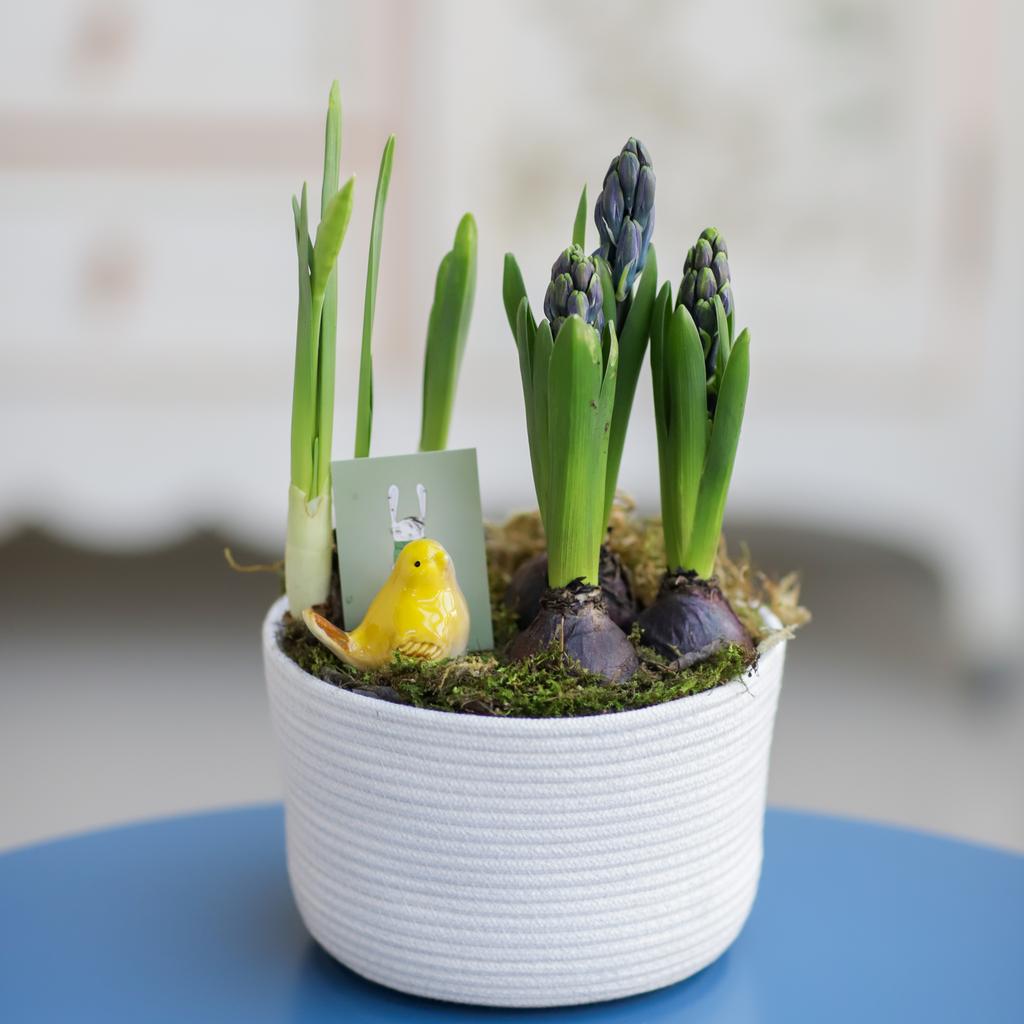 Цветочный сад №87