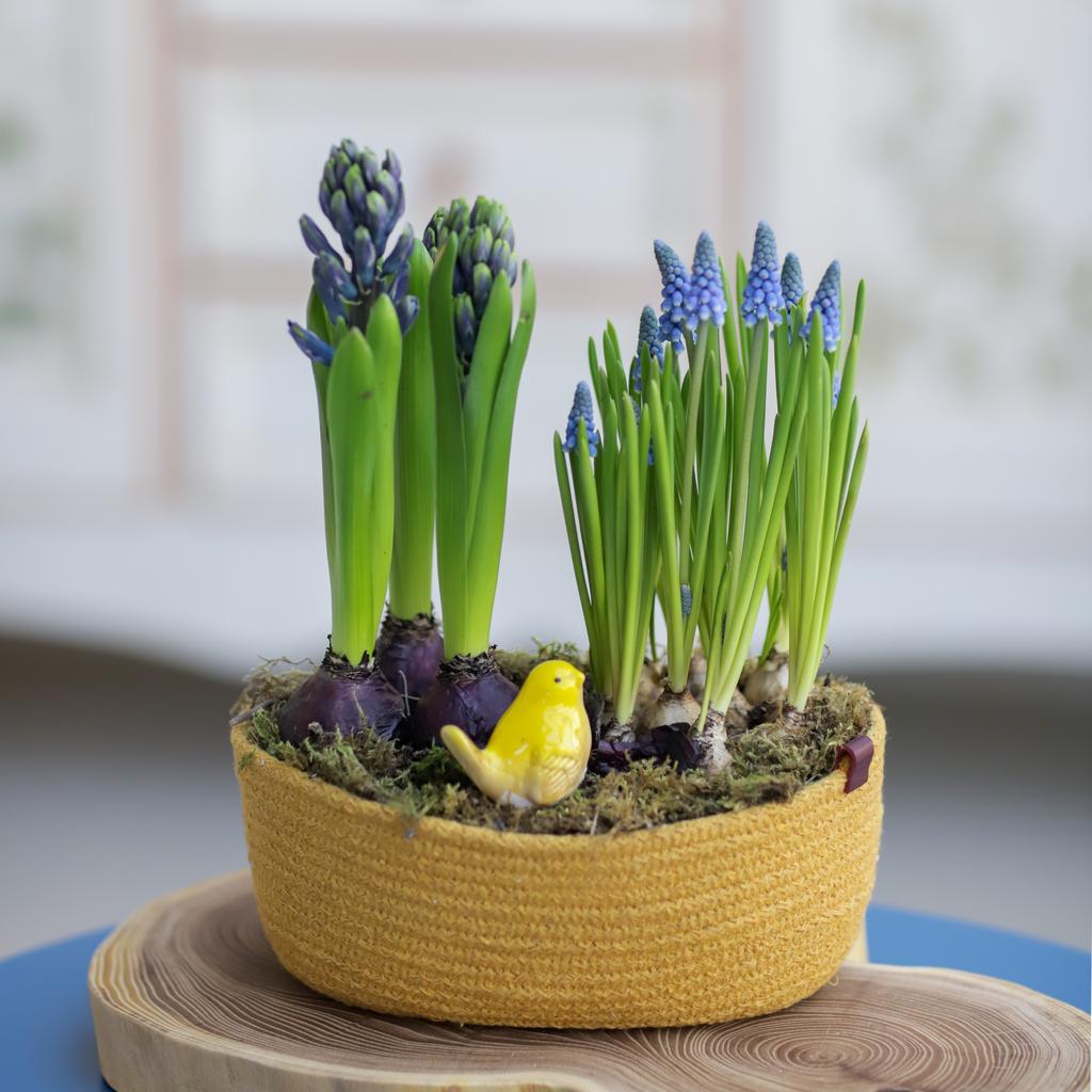 Цветочный сад №88