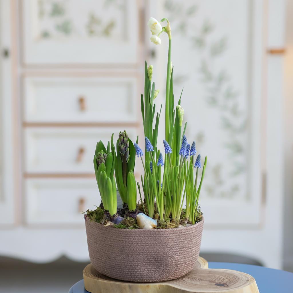 Цветочный сад №89