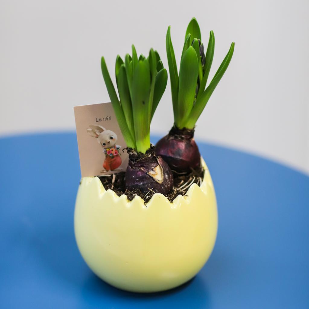 Цветочный сад №90