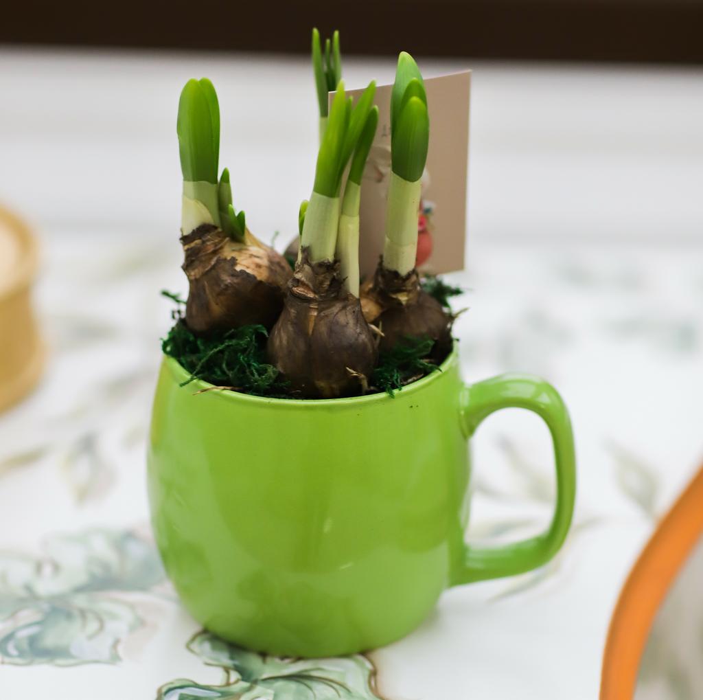 Цветочный сад №94