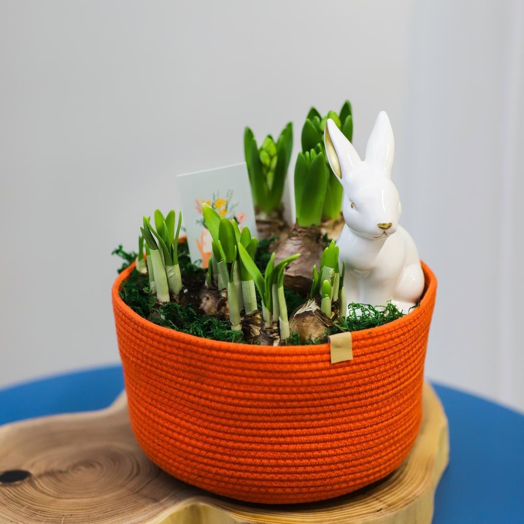 Цветочный сад №101