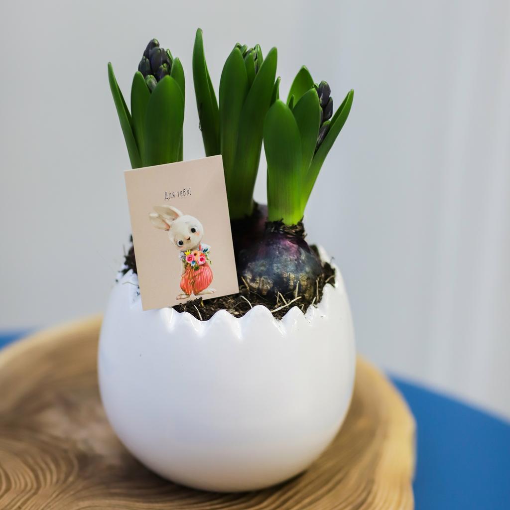 Цветочный сад №103