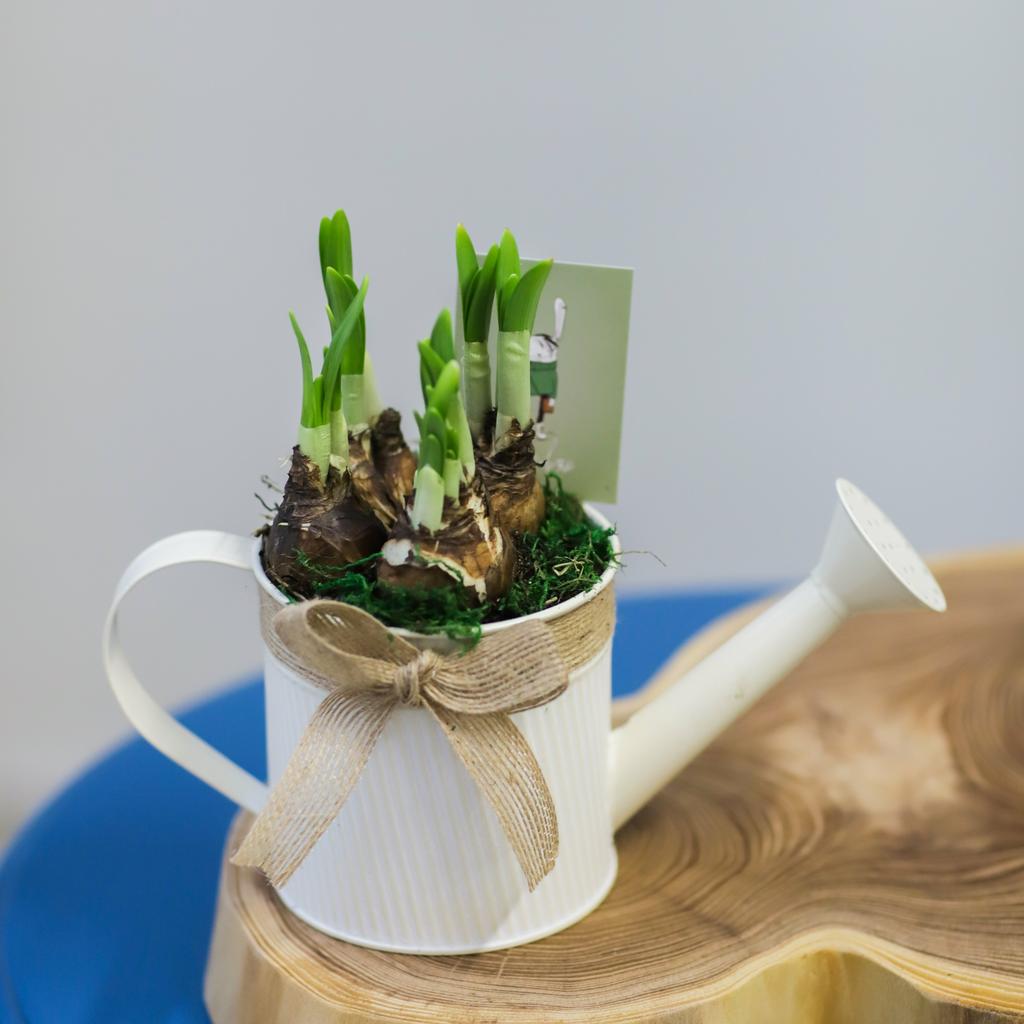 В кашпо № 25