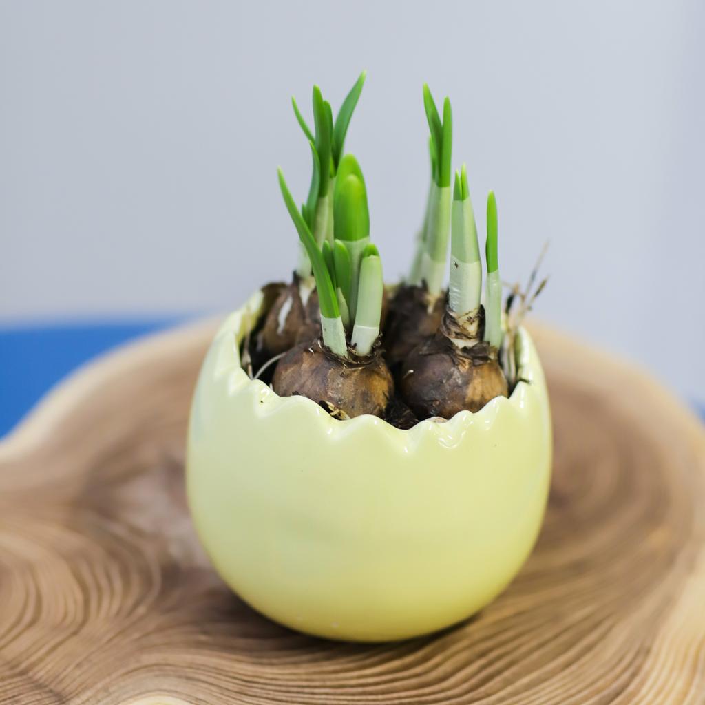 Цветочный сад №106