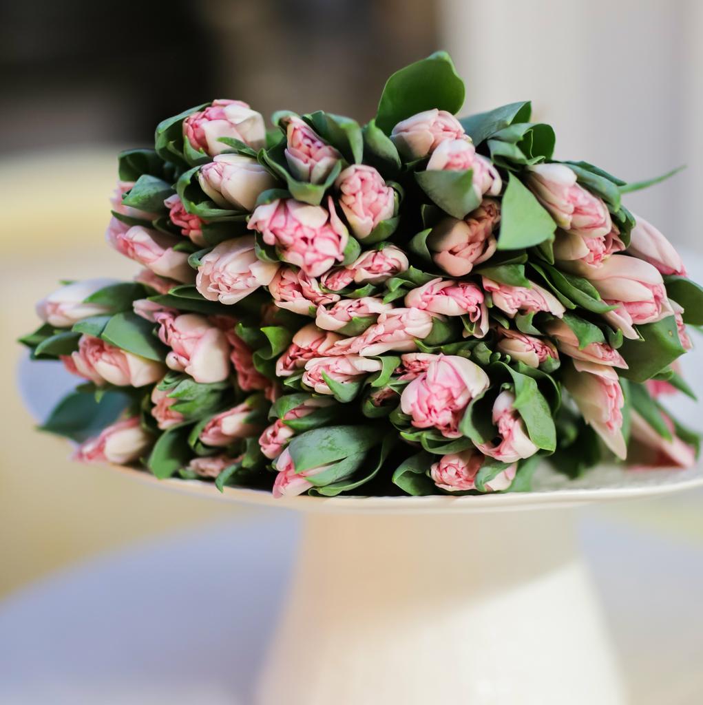 Моно из пионовидных тюльпанов