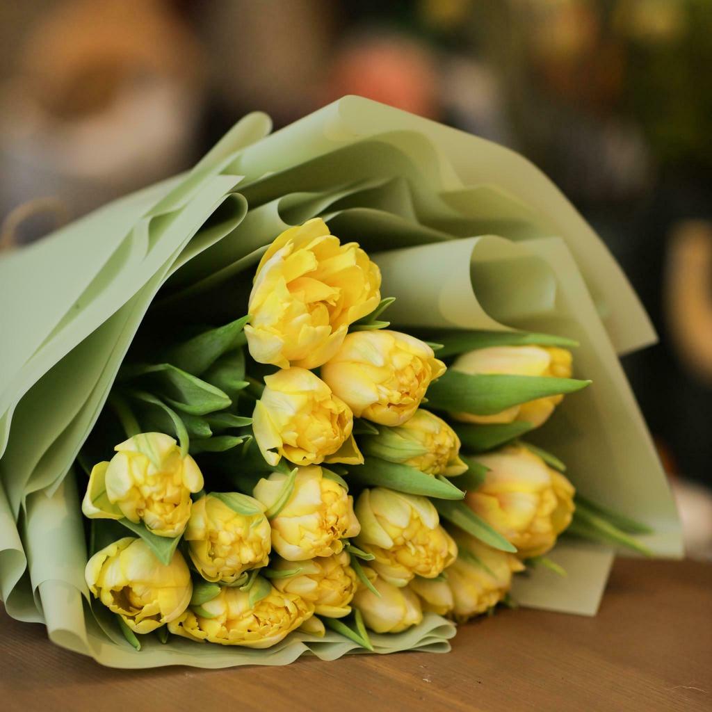 Моно из пионовидных тюльпанов