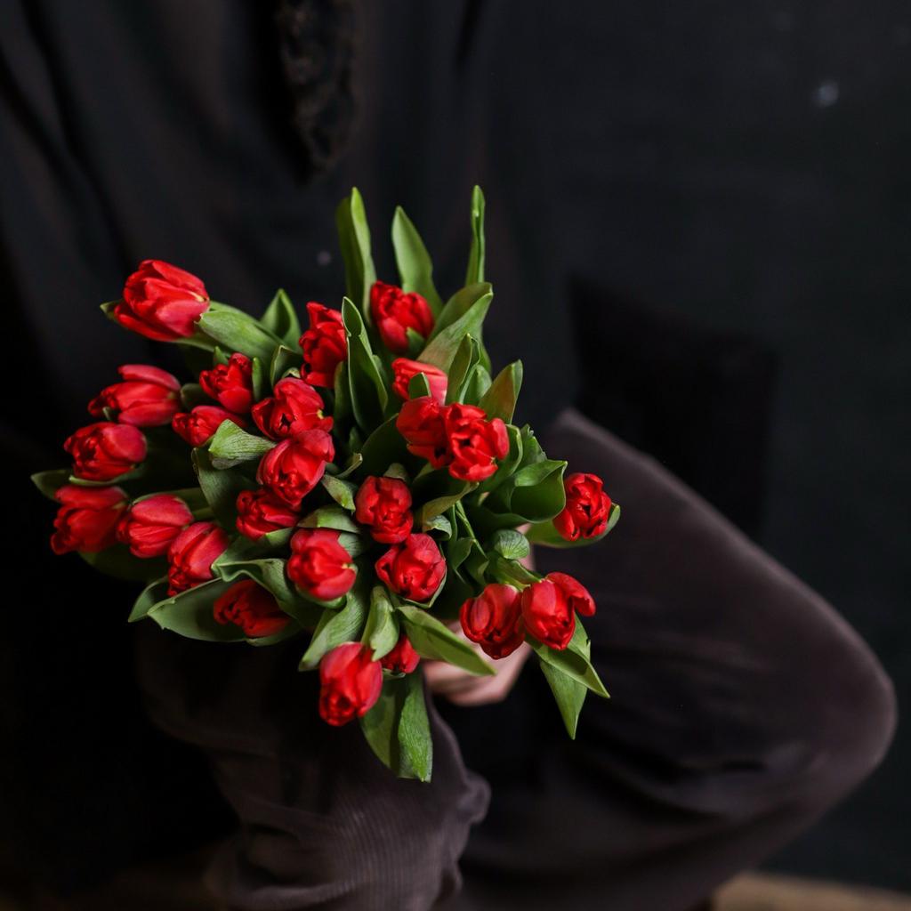 Моно из пионовидных тюльпанов