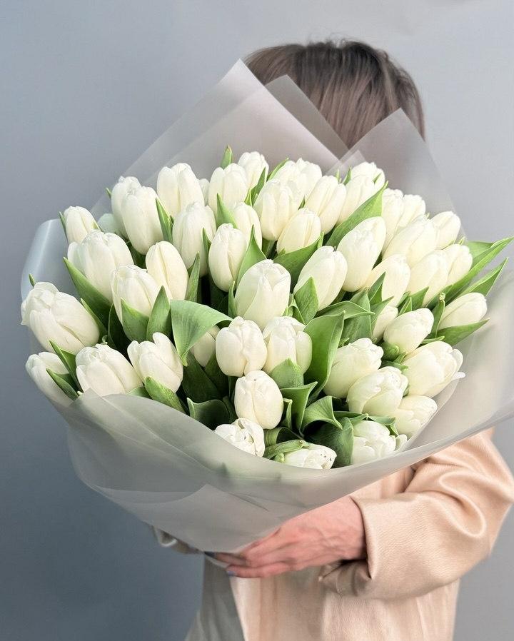 Моно из тюльпанов