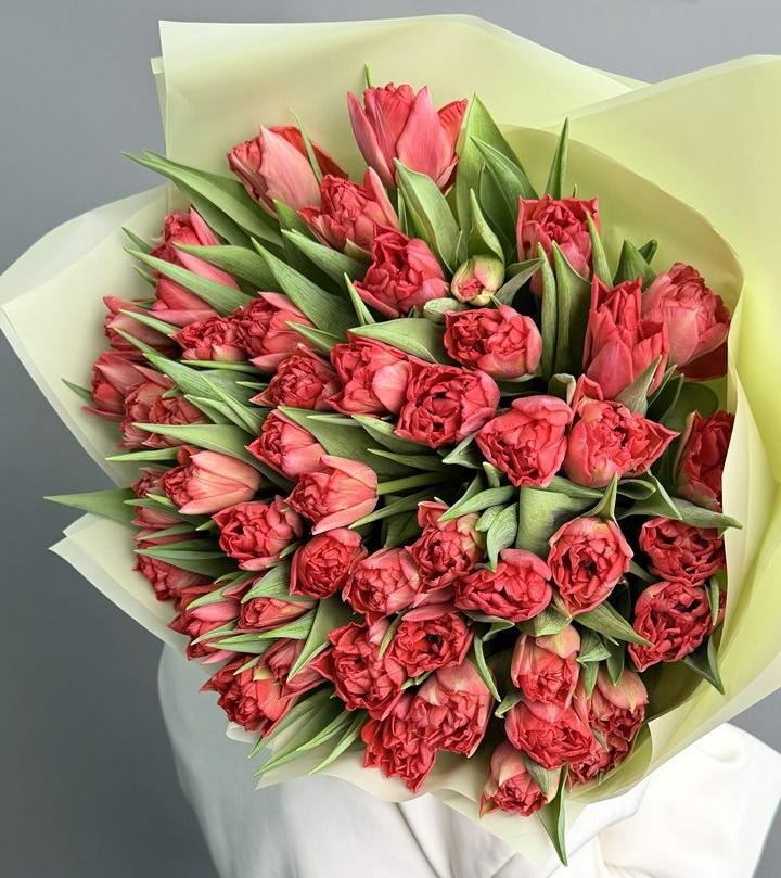 Моно из тюльпанов