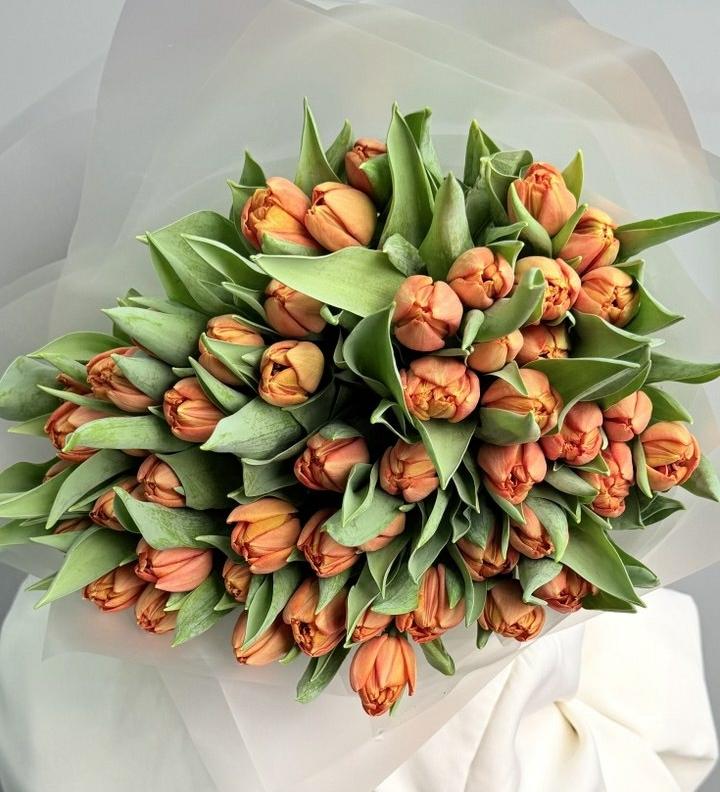 Моно из тюльпанов