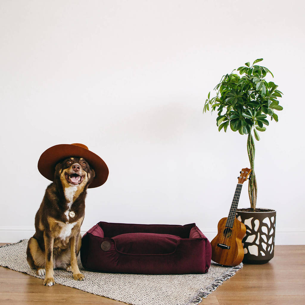 Rachel WOW Лежанка микровелюр бордовый