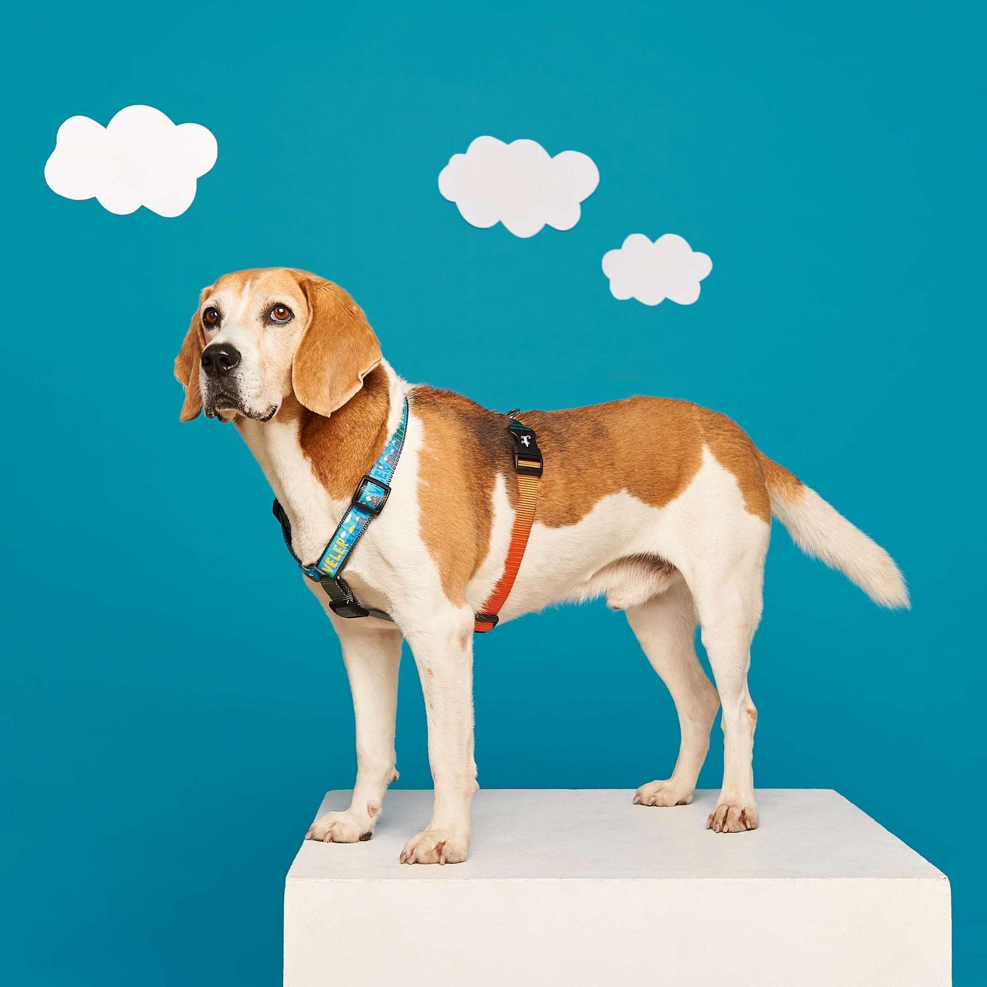 Шлейка ПУТЕШЕСТВЕННИК