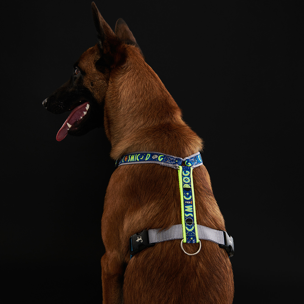 Шлейка COSMIC DOG