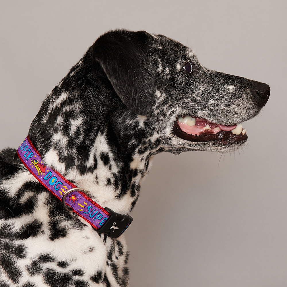 Ошейник для собаки SUPERDOG