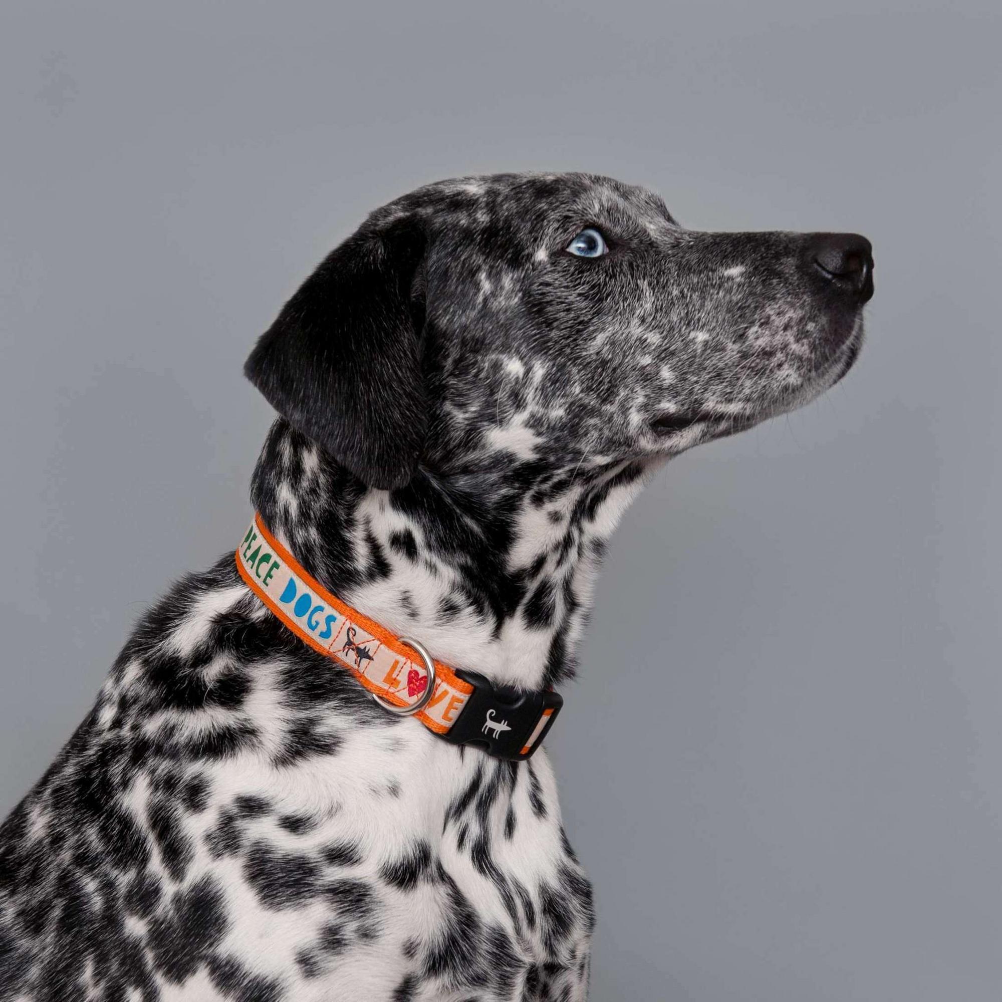 Ошейник для собаки LOVE.PEACE.DOGS