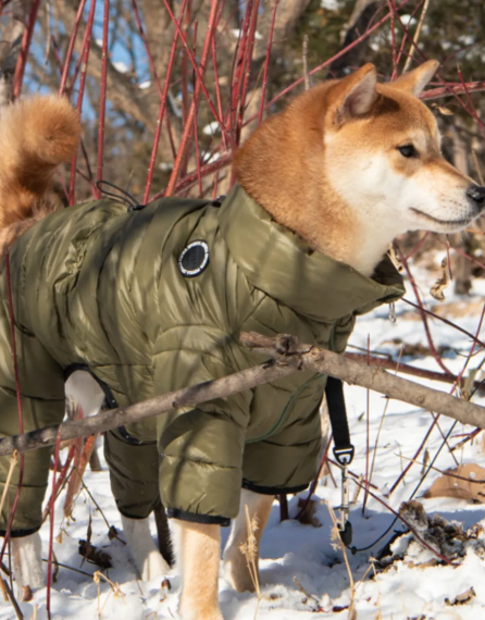 PUPPIA Комбинезон для собак, сверхлегкий "Jumpesuit B", хаки S