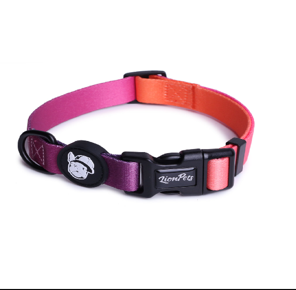 LionPets Ошейник для собак с рисунком (Розовый неон)