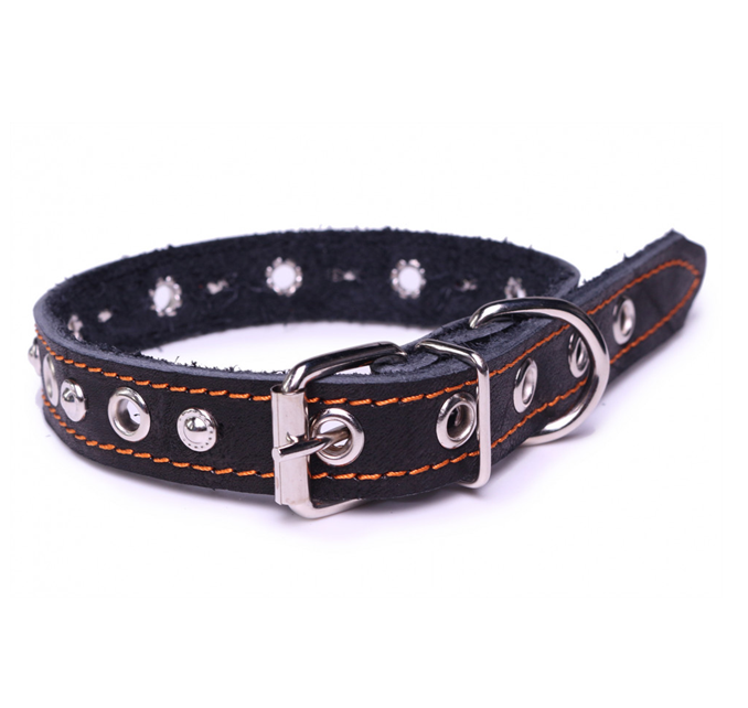 LionPets Ошейник для собак кожаный с узором