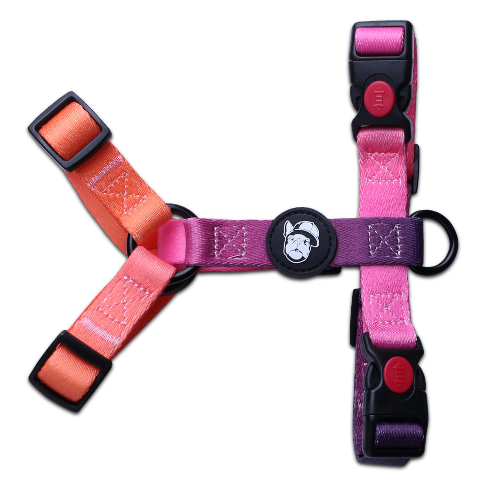 LionPets Шлейка для собак и кошек (Розовый неон)