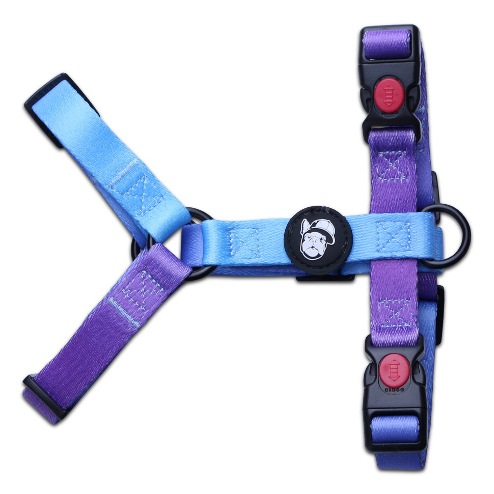 LionPets Шлейка для собак и кошек (Голубой неон)