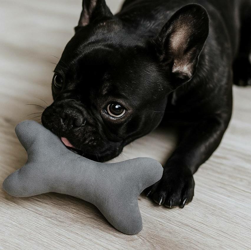 RachelWow Кость мягкая