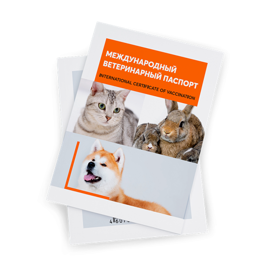 Международный ветеринарный паспорт (универсальный)