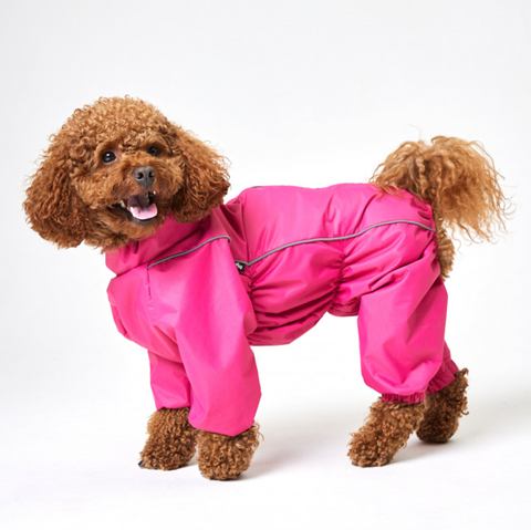 LionPets Дождевик для собак, розовый, для девочек