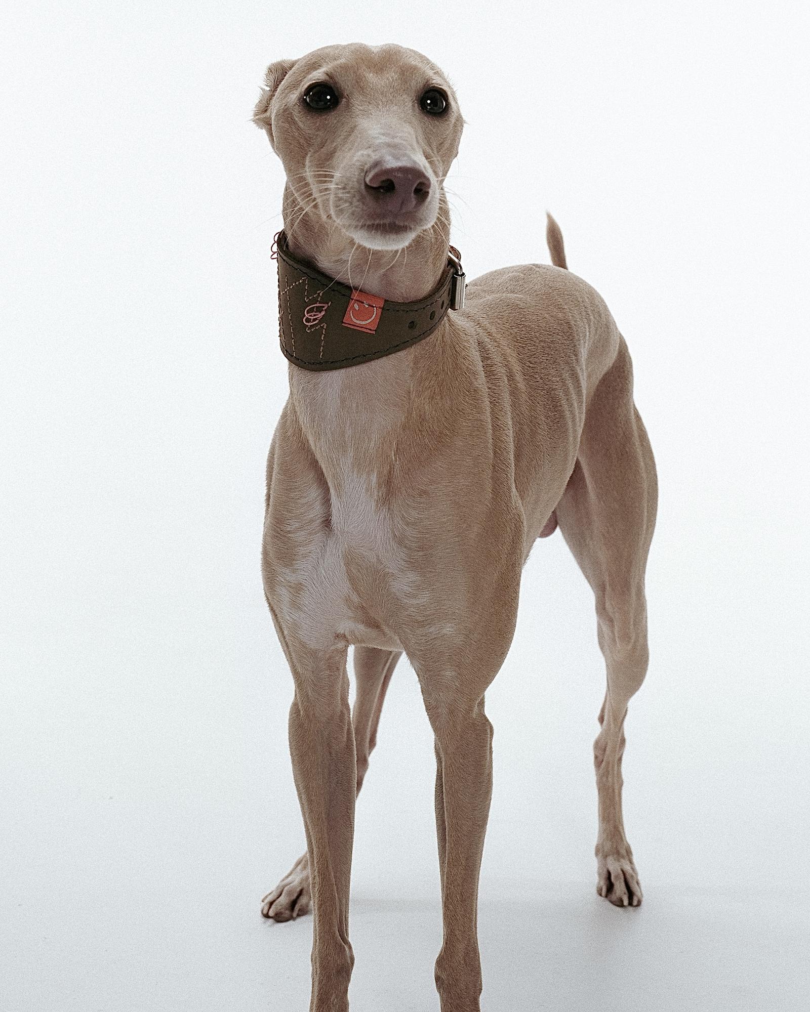 Селёдка с вышивкой WHAT