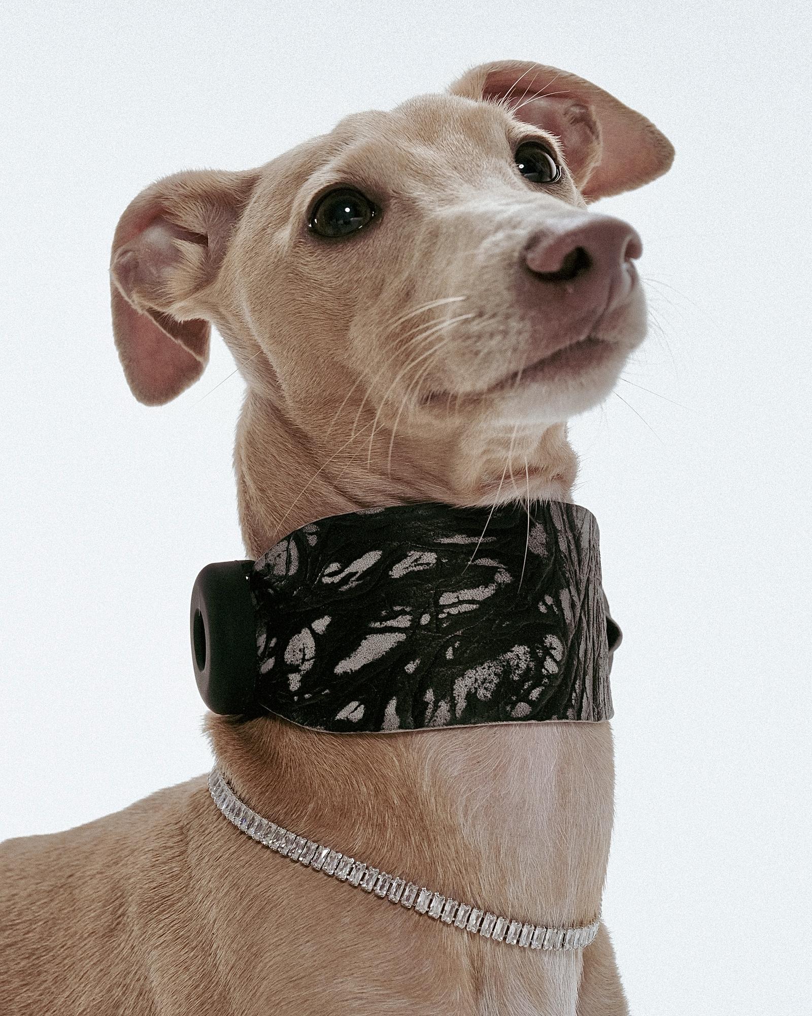 Селёдка SPLIT