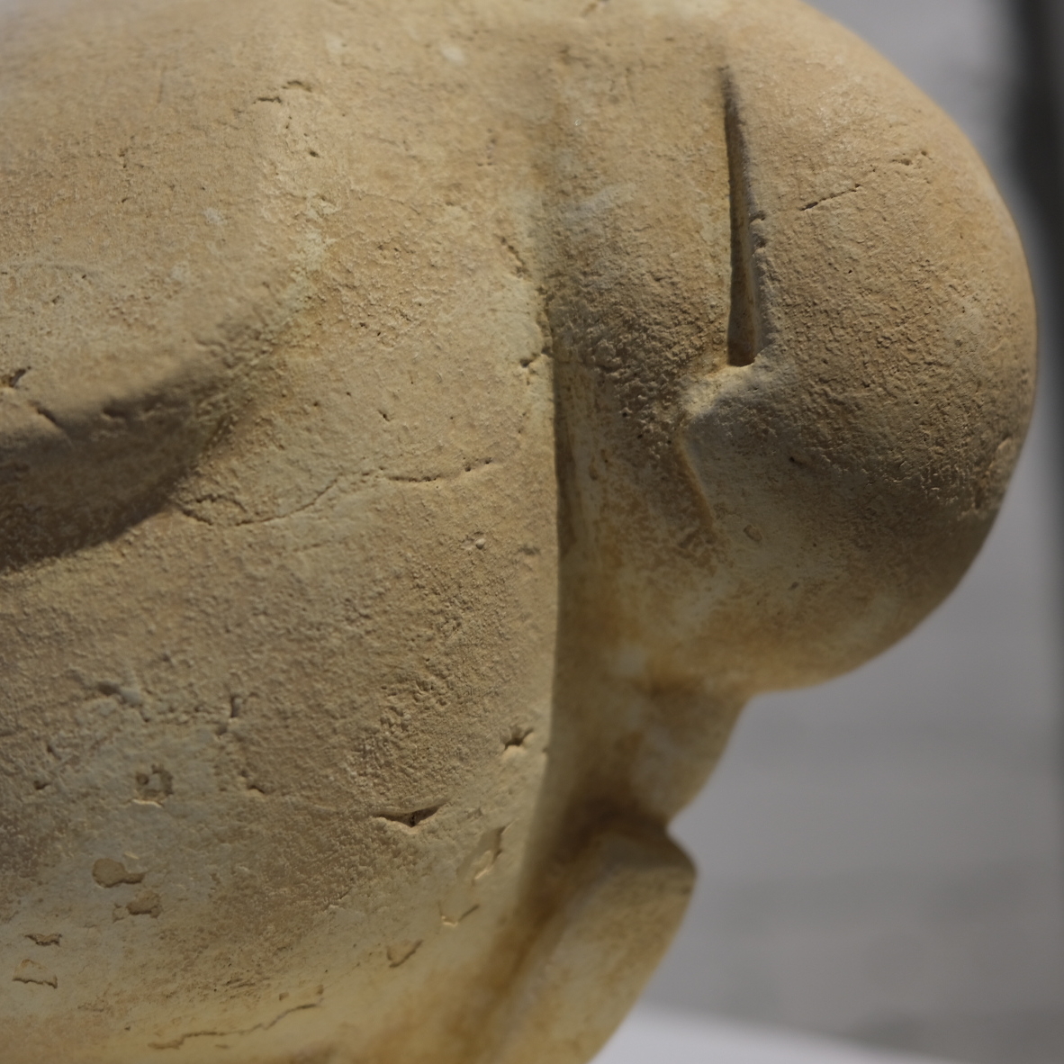 Серия «Сибирские птицы»‎ АЛЕНА КАРТУН