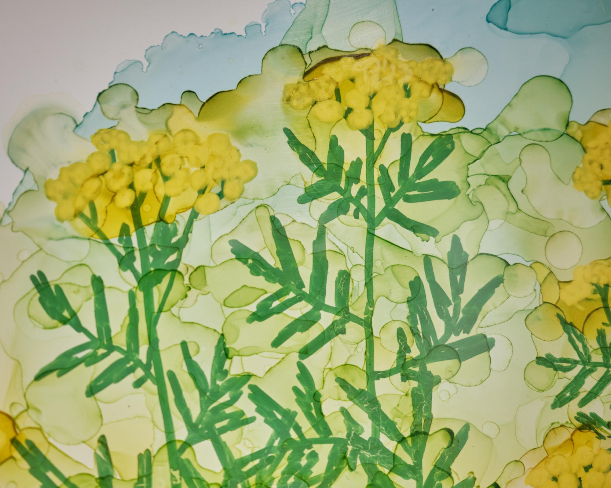 из серии "Марки Флора Урала" ИЛЬЯ ФРОЛОВ