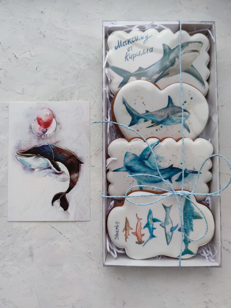 Набор пряников Shark family 26*12 см