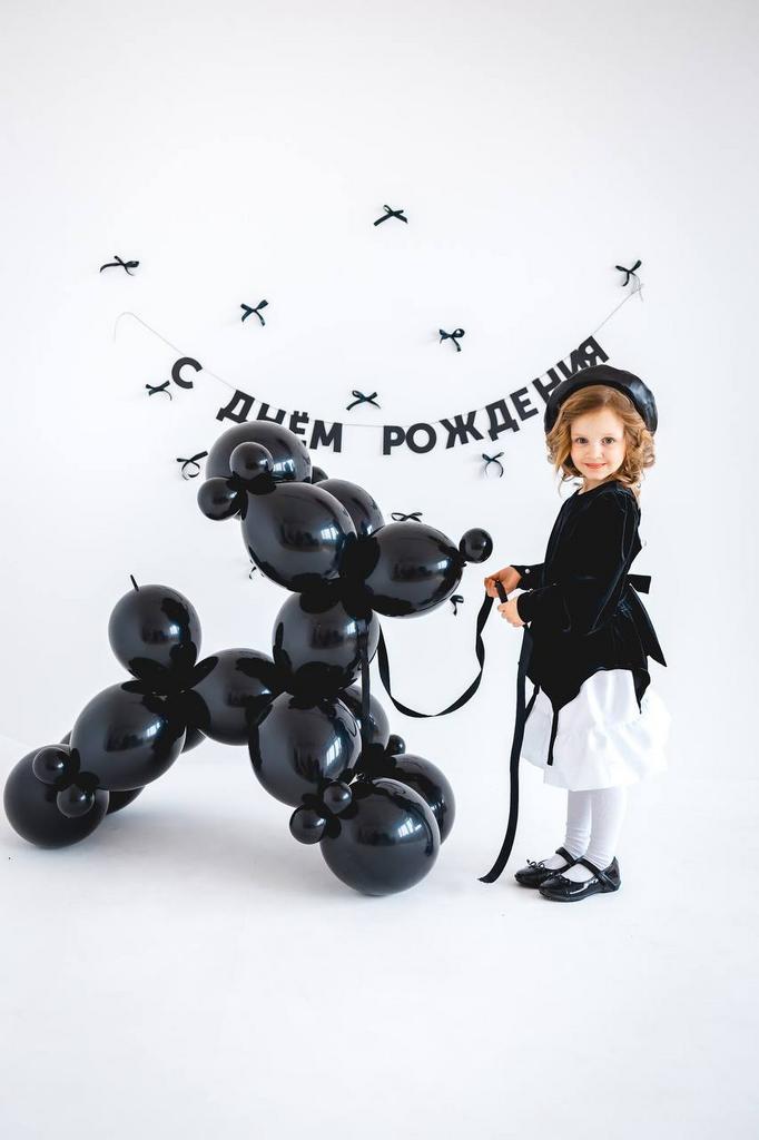 Фотозона Собачка