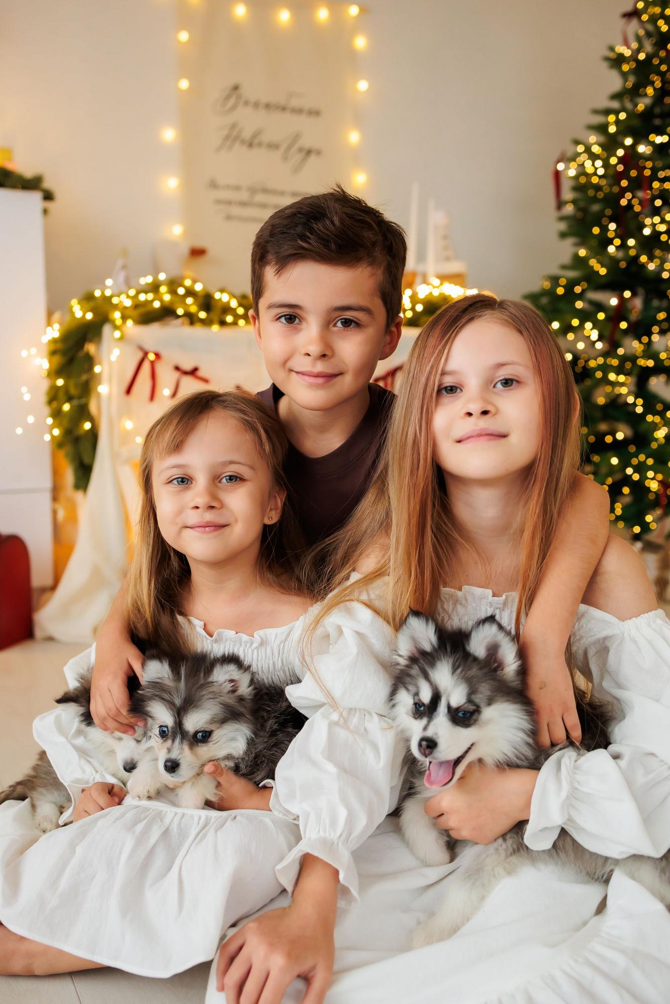 Новогодняя съемка со щенками Хаски