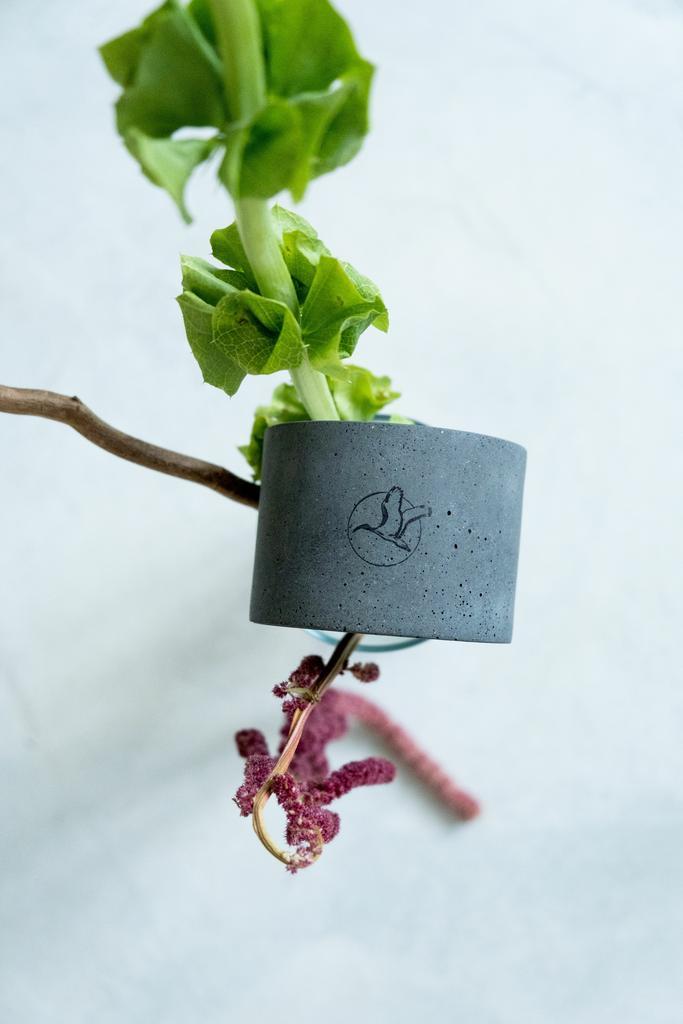 Соевый камин IRON - 120 ml