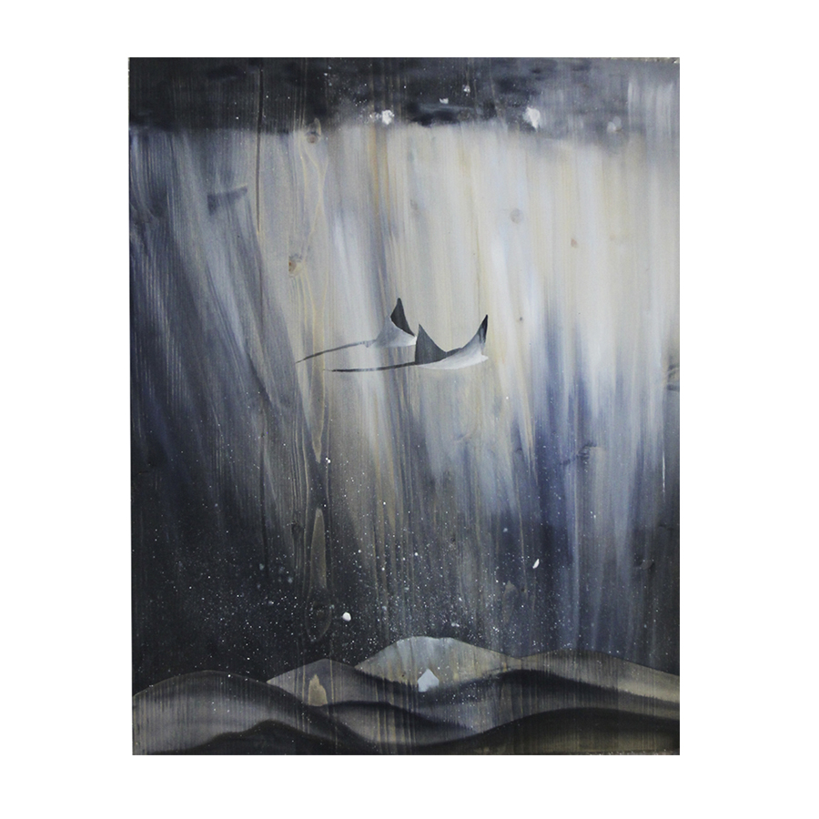 Скаты в небе