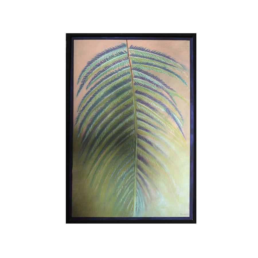 Папоротник