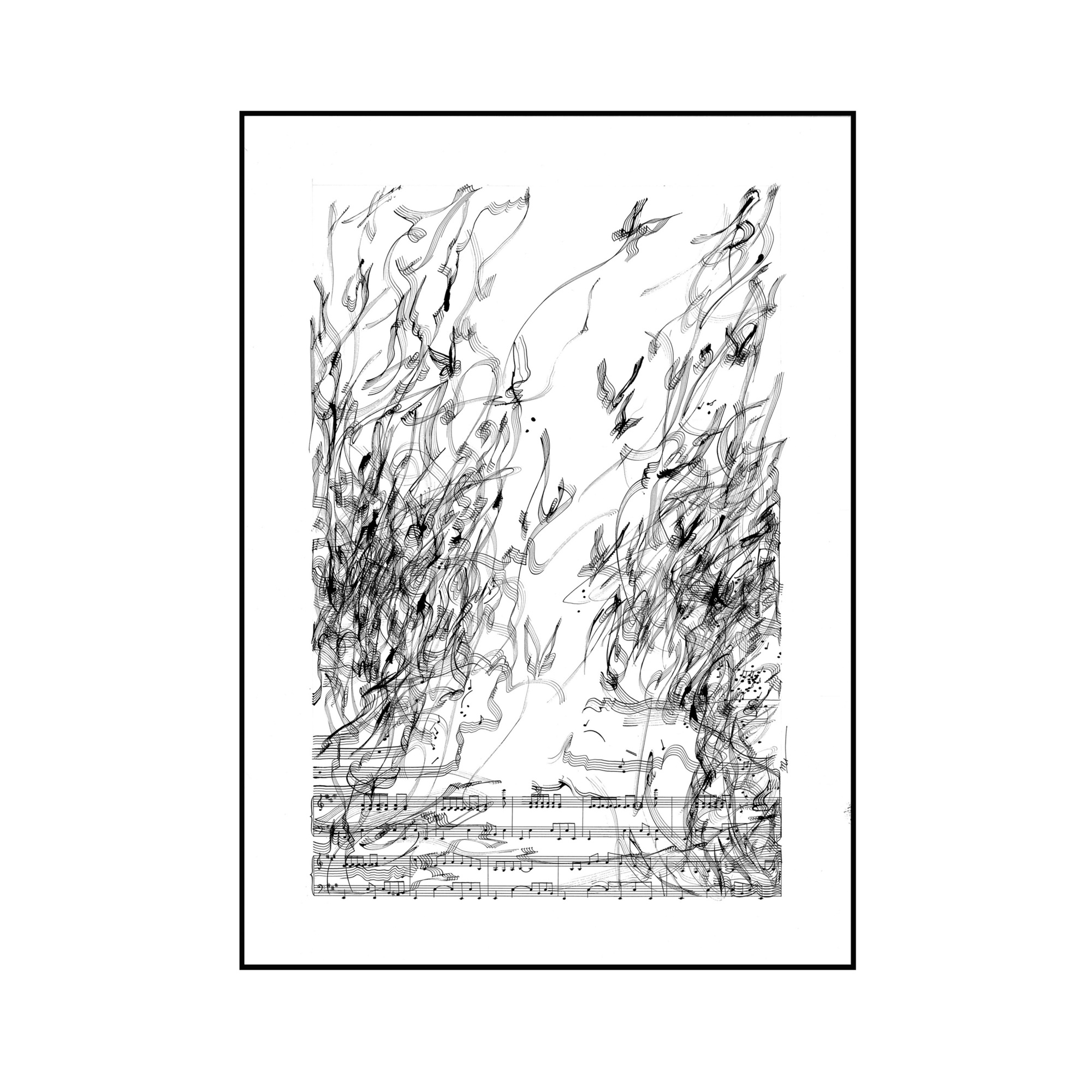 Принт, Black or Whete