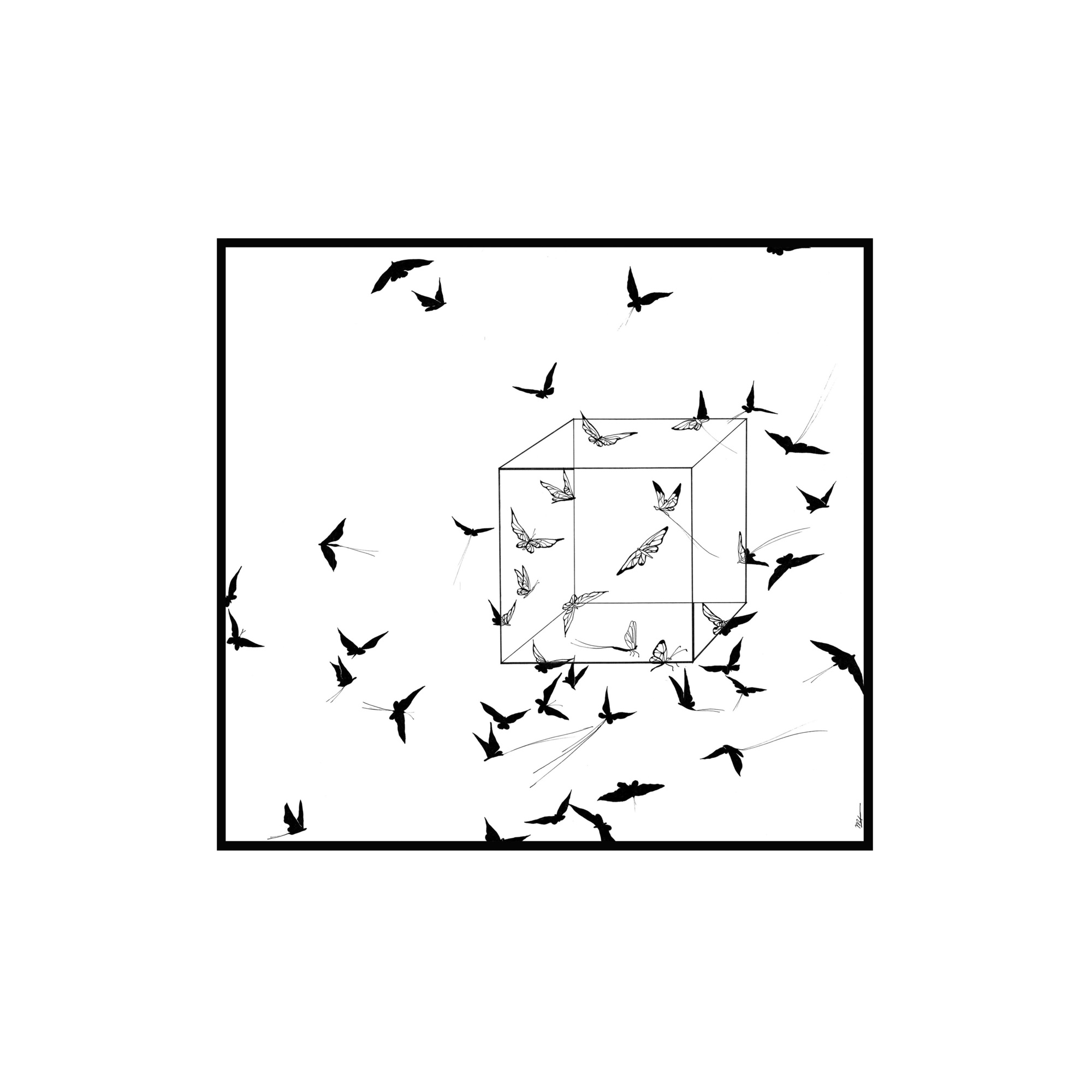 Мотыльки и куб