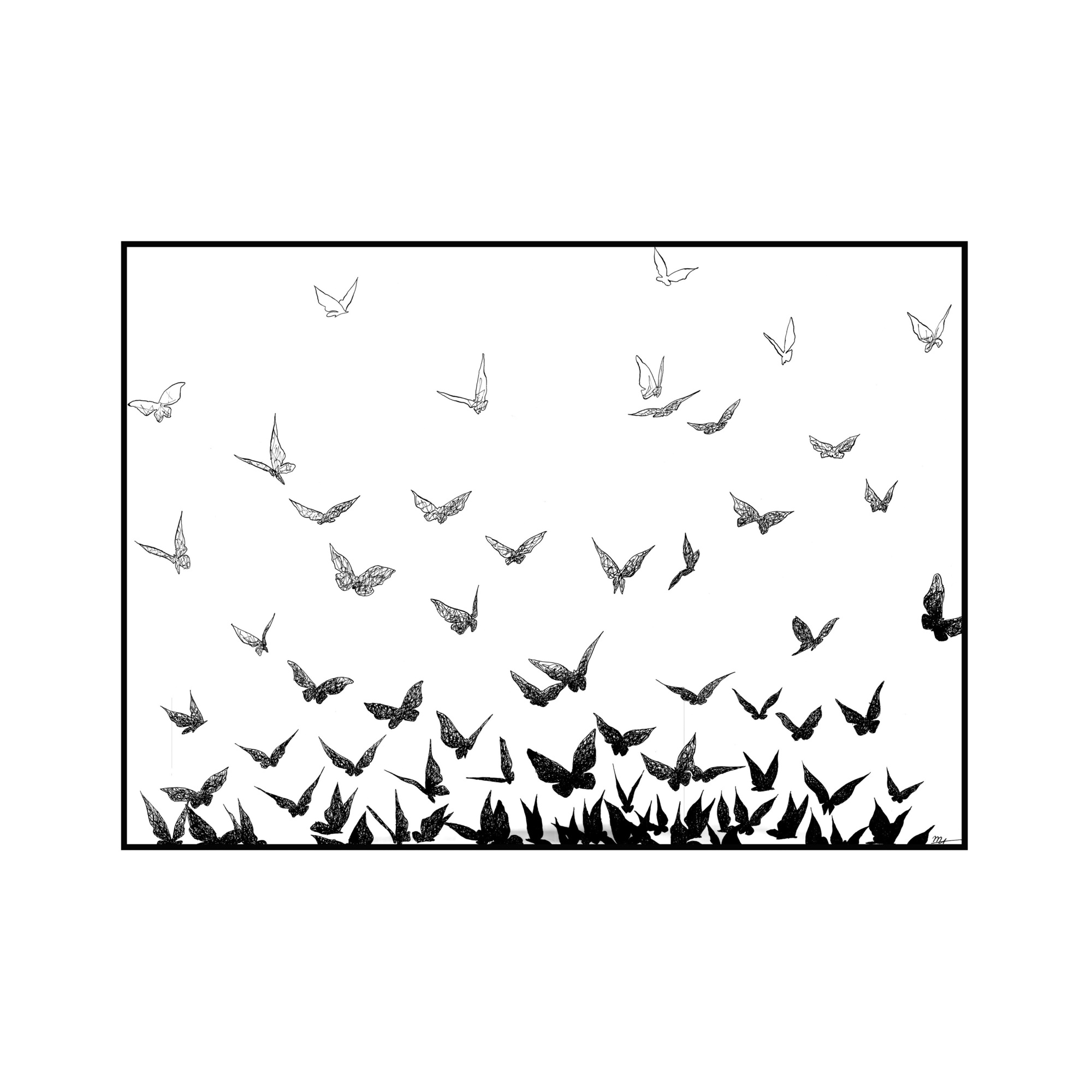 Принт. Миллион бабочек